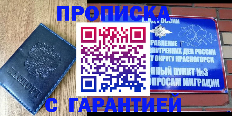 регистрация в Мурманской области